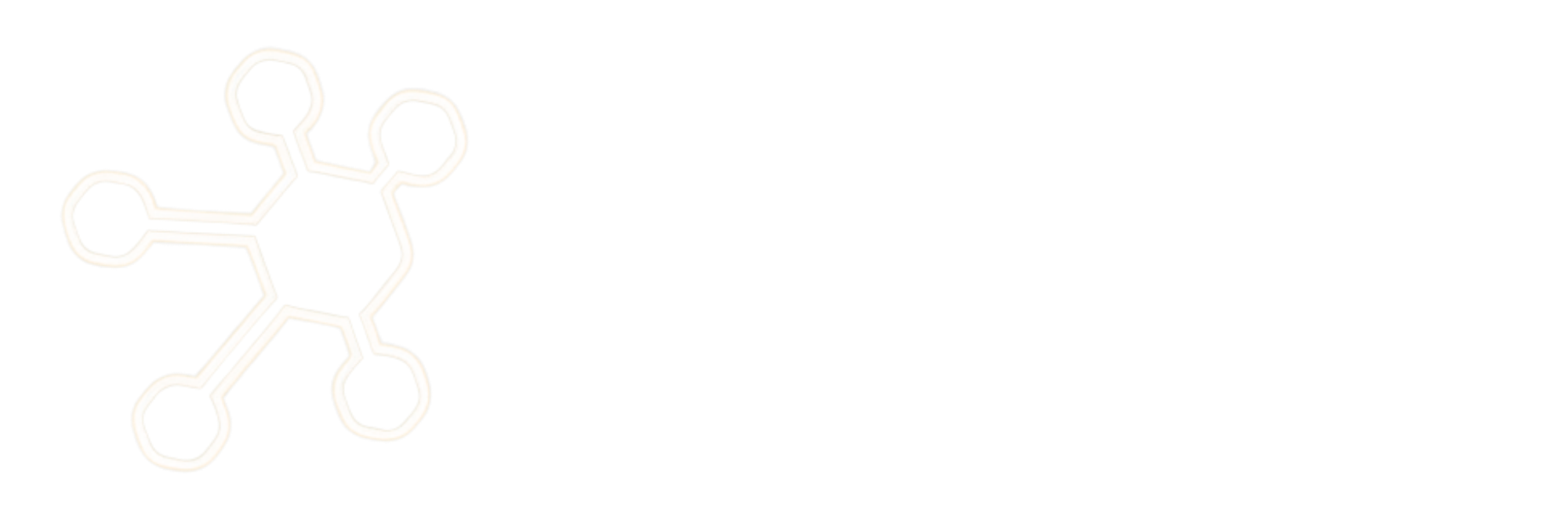 Dominik — Founder, Limitless AI Solutions